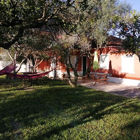Casa Das Laranjeiras E Parque Infantil Azeitao Luaran gambar