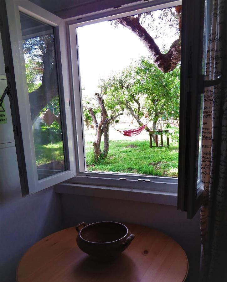 Casa Das Laranjeiras E Parque Infantil Azeitao Luaran gambar