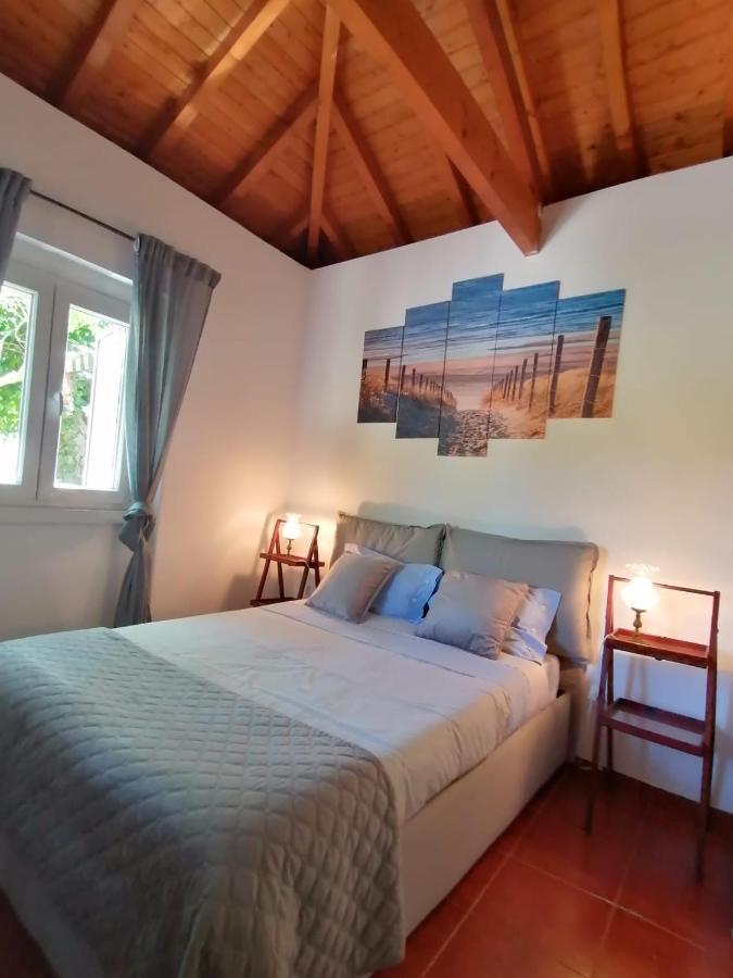 Casa Das Laranjeiras E Parque Infantil Azeitao Luaran gambar